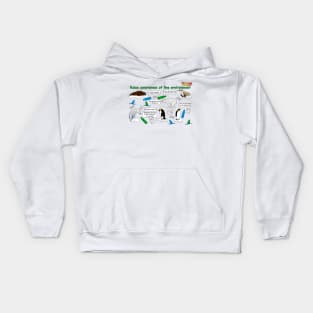 Glacier Kids Hoodie